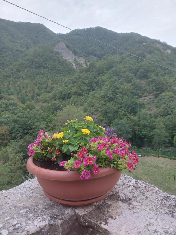 B&B Donnini Фиренцуола Екстериор снимка