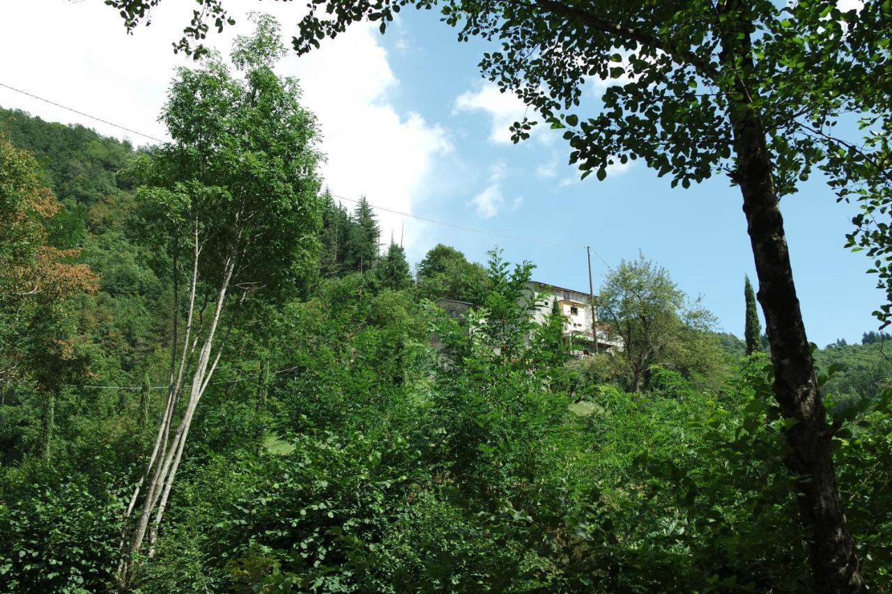 B&B Donnini Фиренцуола Екстериор снимка