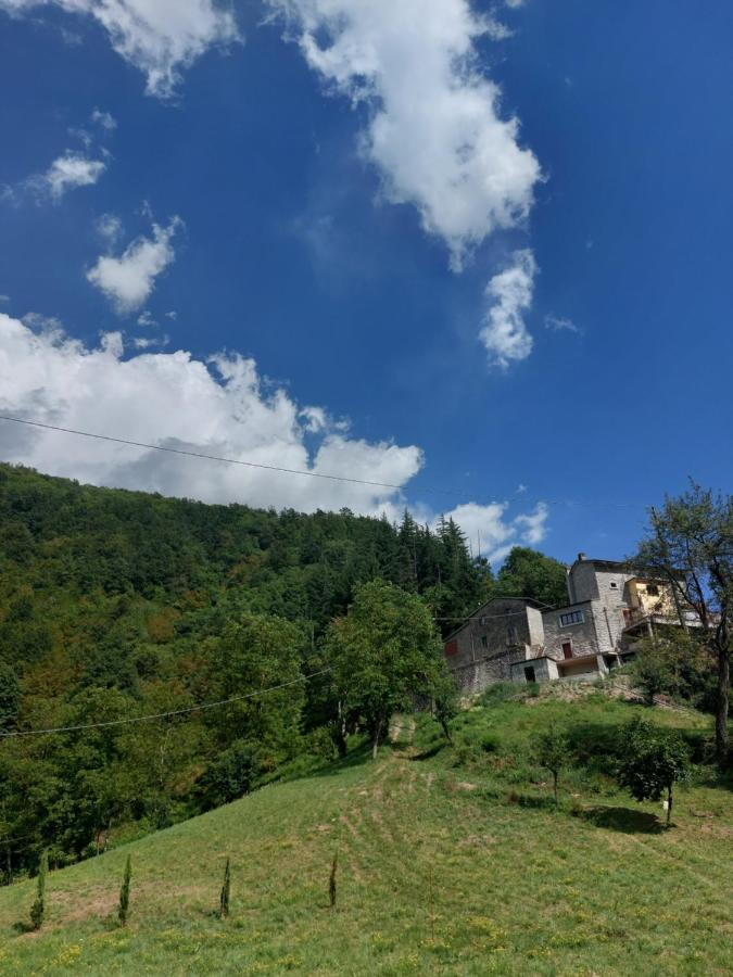 B&B Donnini Фиренцуола Екстериор снимка